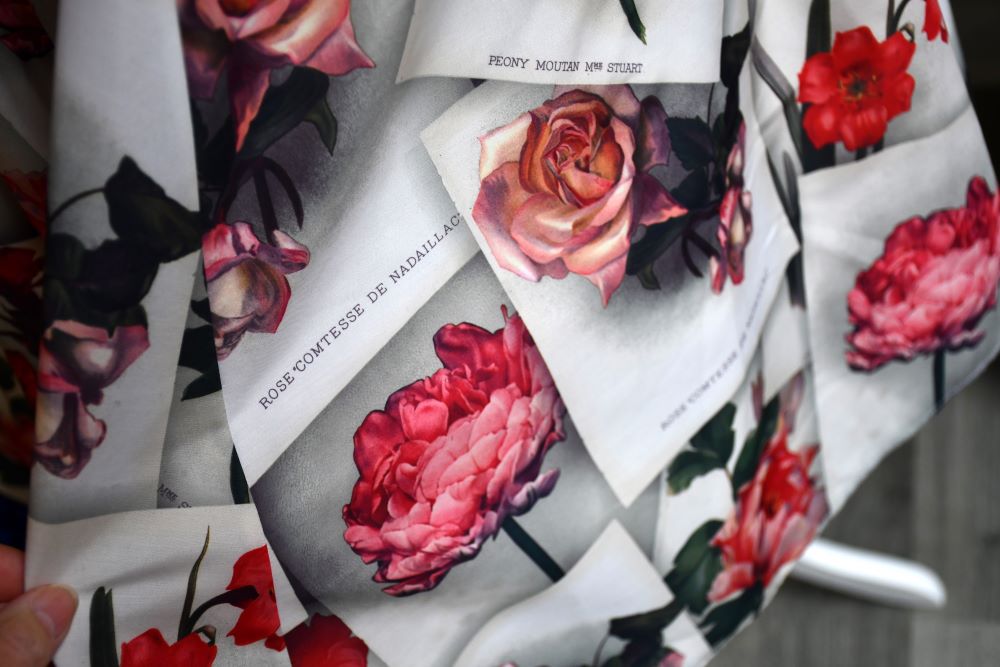 Ted Baker Floral Rose Skater Dress (2)
