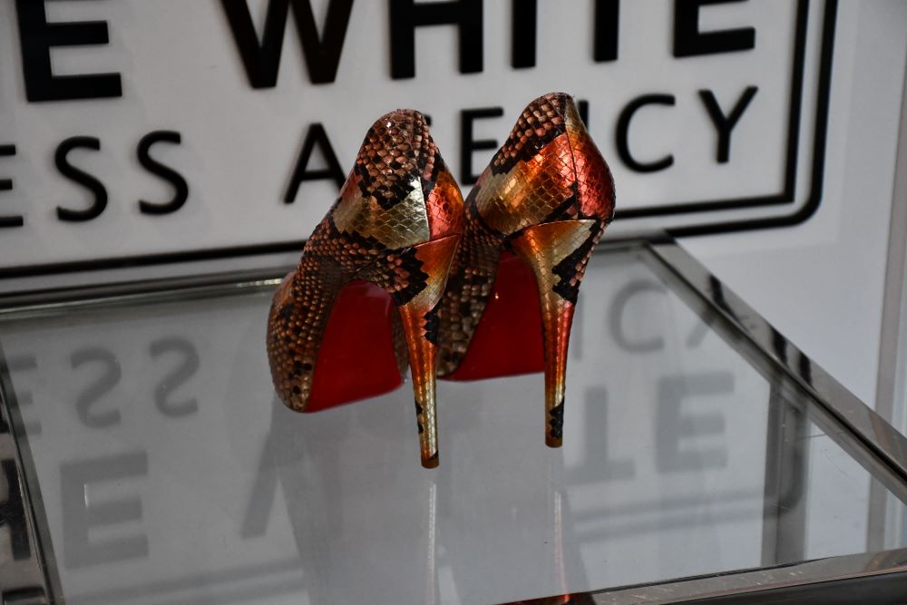 Louboutin Vendome 120 Python Pesce Shoes (6) UNUSED