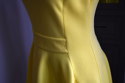 Ted Baker Yellow Skater Dress BNWT (10)