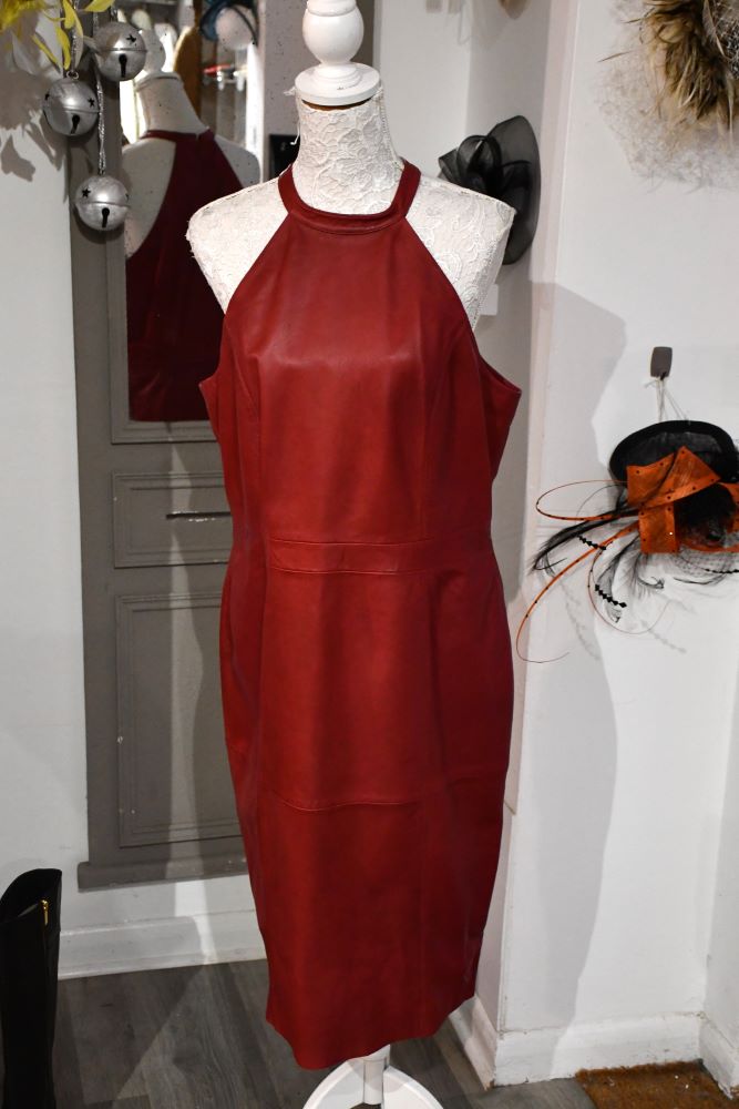 Sosander Leather Dress