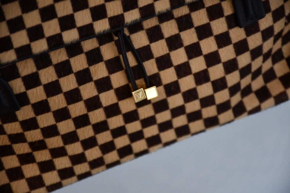 Louis Vuitton Ponyskin Bag