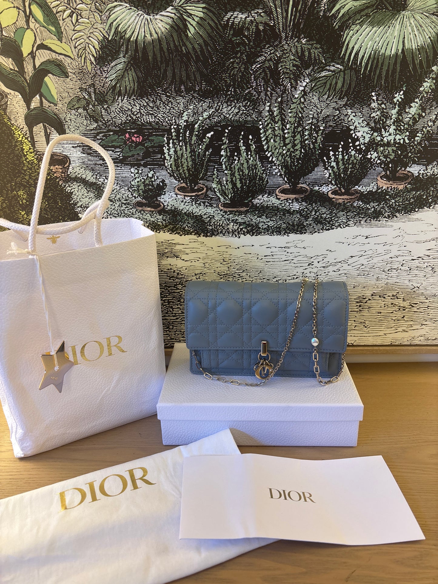 My Dior Daily Pouch With Chain