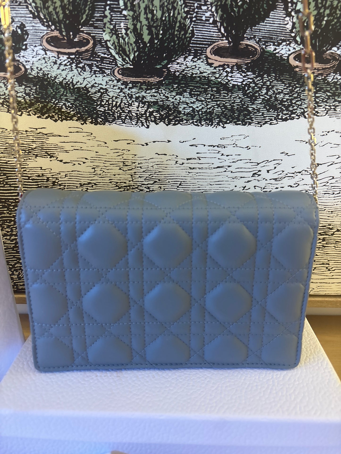 My Dior Daily Pouch With Chain